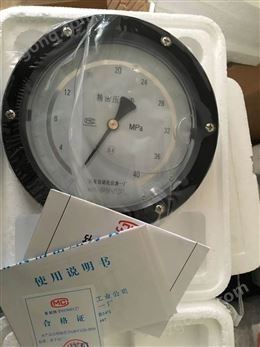 精密壓力表生產(chǎn)商