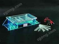 DYCP-33A迷你瓊脂糖電泳儀