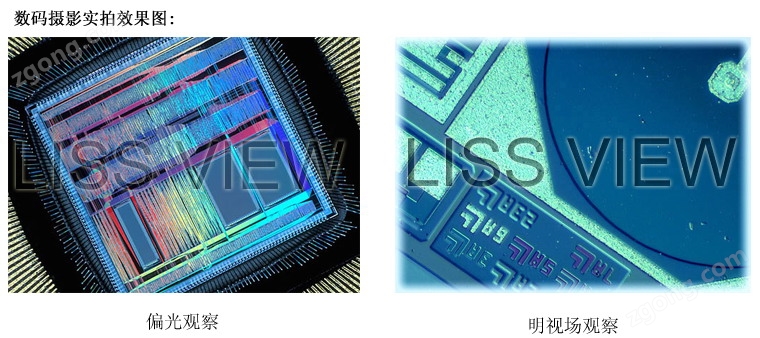 L2030正置金相顯微鏡