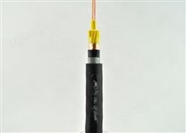 KVVP2-22控制電纜