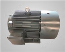 YE2系列異步電動(dòng)機(jī)2