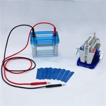 迷你雙垂直電泳儀