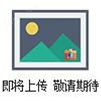 MS1A064B，SEKO機(jī)械隔膜計(jì)量泵