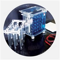 DYCZ-40A型轉(zhuǎn)印電泳儀(大號(hào))